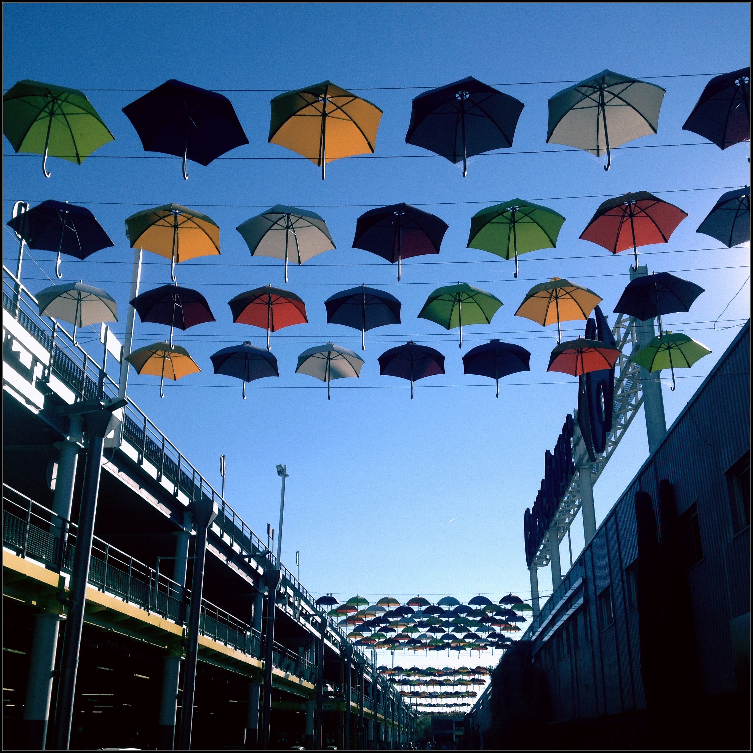[Un jour, une Photo] Umbrella