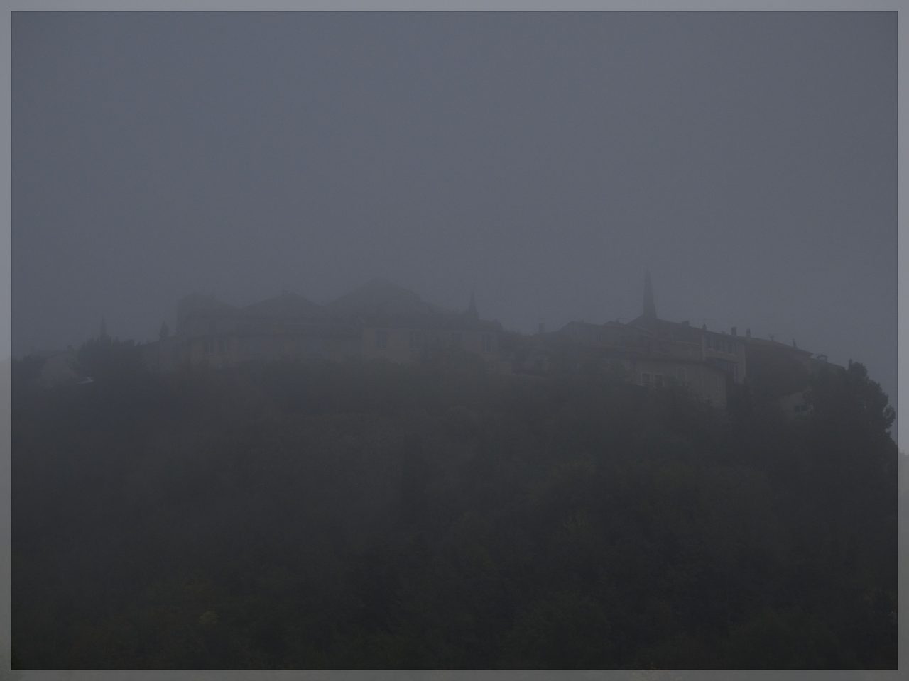 Grambois et brouillard matinal