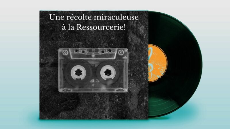 Récolte miracle de vinyles en ressourcerie