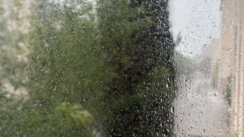 [Image du Jour] Bienvenue à la pluie
