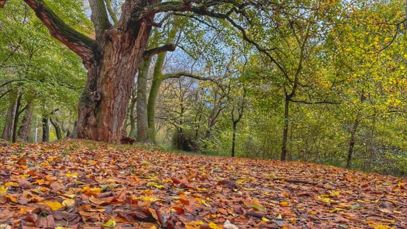 Balade au bord de l’Arc à Aix en Provence
