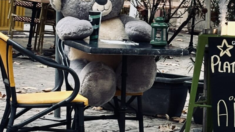 Drôle de touriste !