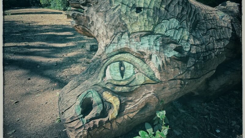 [Image du Jour] Dragon forestier