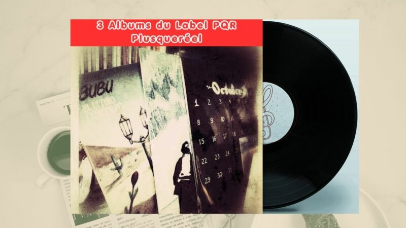 Un déballage et une chronique de nouveautés du label Disquesplusqueréel !